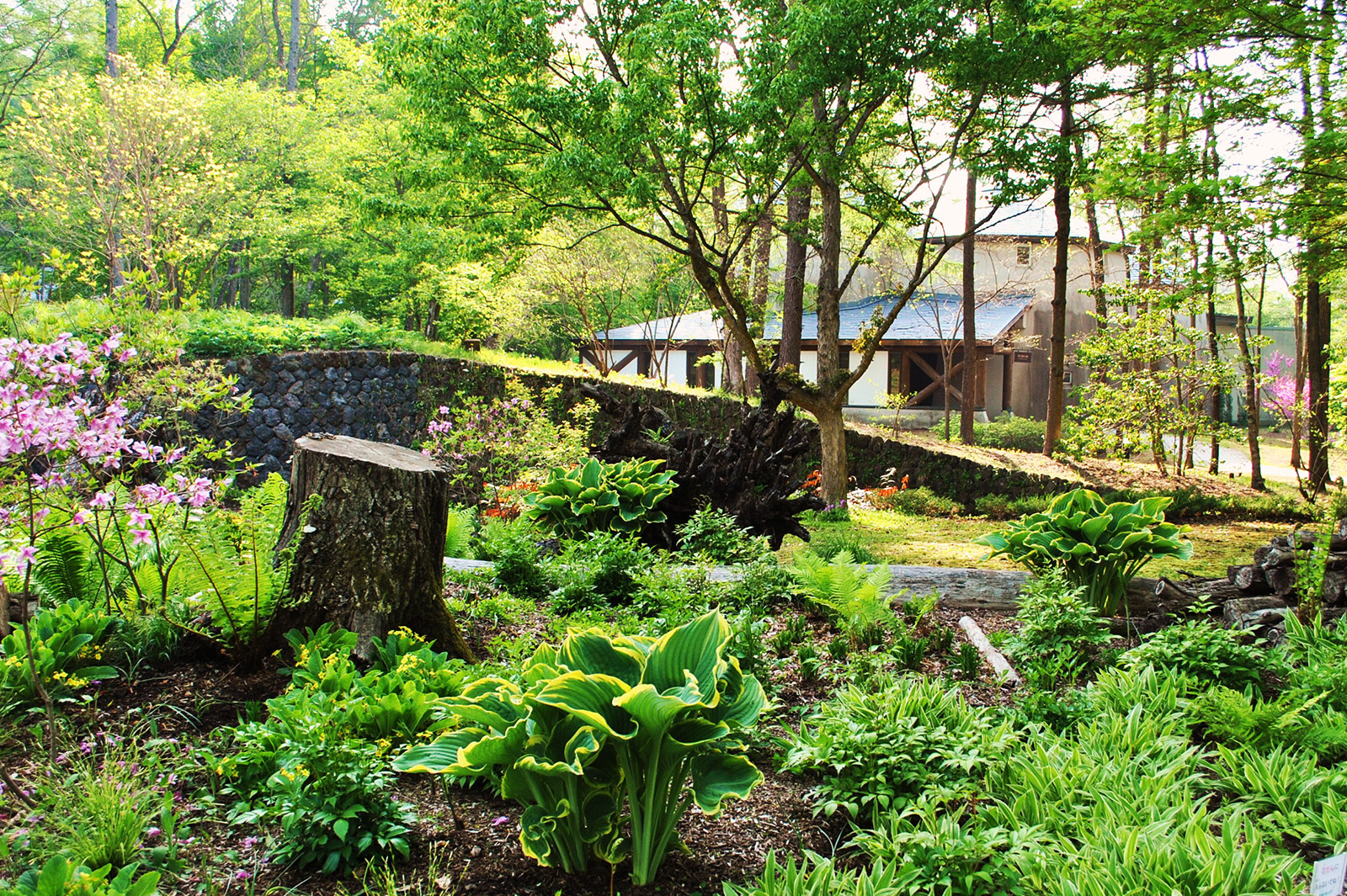 ガーデンの四季 - ムーゼの森